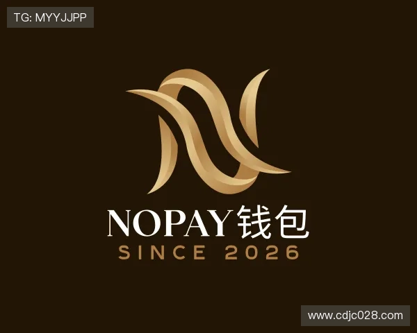 介绍NOPAY钱包